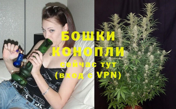 дурь Россошь
