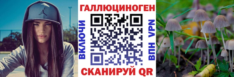 где купить наркоту  Власиха  OMG как зайти  Галлюциногенные грибы Psilocybe 